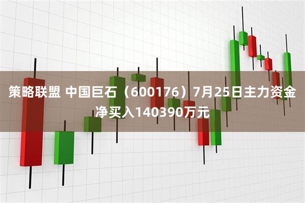 策略联盟 中国巨石（600176）7月25日主力资金净买入140390万元