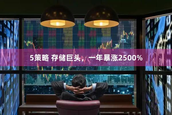 5策略 存储巨头，一年暴涨2500%