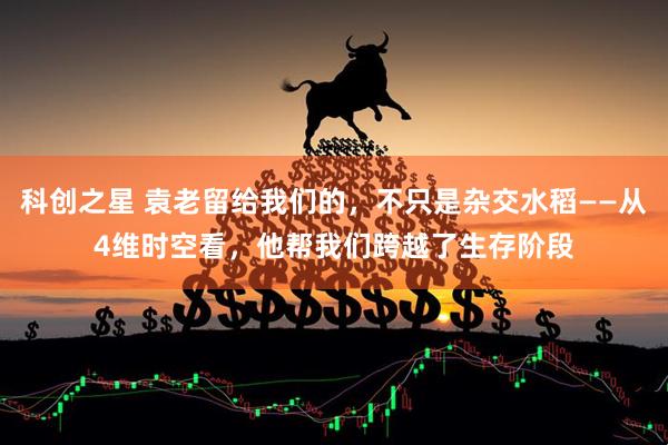 科创之星 袁老留给我们的，不只是杂交水稻——从4维时空看，他帮我们跨越了生存阶段
