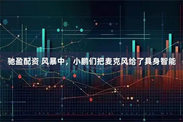 驰盈配资 风暴中，小鹏们把麦克风给了具身智能